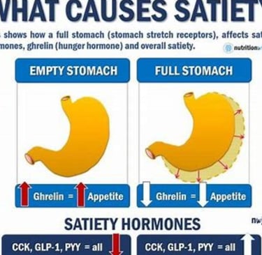 satiety hormones