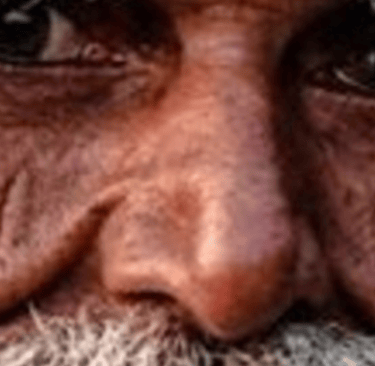 Fasting : neural stem cells and neurogenesis