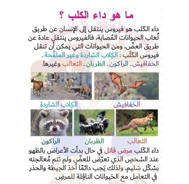 داء الكلب