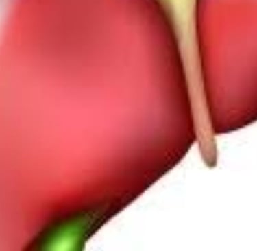 الوقاية خير من العلاج