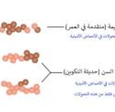 حديثة التكوين بروتينات