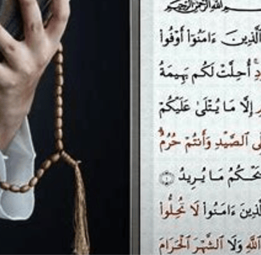 reading Quran