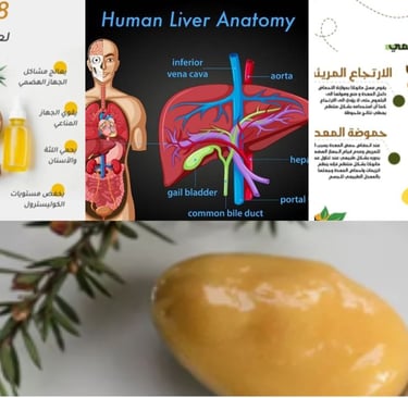⚖️ 🦠🌿🛡️هل عسل المانوكا مفيد للكبد الدهني؟🍯