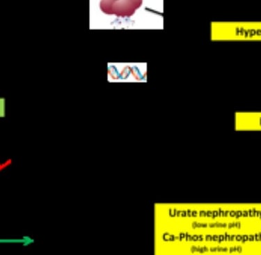 Tumor Lysis Syndrome (TLS) & Fasting
