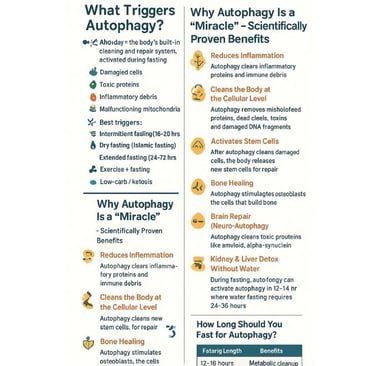 Autophagy is one of fasting’s greatest miracles📝