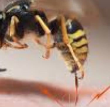 Bee Stings Benefits