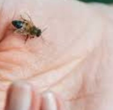 Bee Stings Benefits