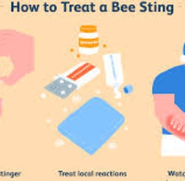 Bee Therapy the Benefits and Uses of Bee Venom (4)