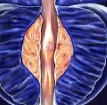Benign Prostatic Hyperplasia (BPH): Fasting and Honey