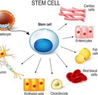 Boost Your Brain Power stem cell