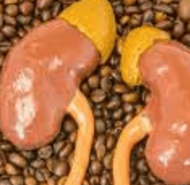 a pair of kidneys  
