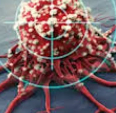 Curable Cancers And Effect Of Voluntary Fasting (4)