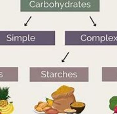 a diagram of a food pyramid with a variety of foods