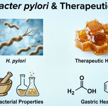 🍯 🎯 Helicobacter pylori  Therapeutic Honeys photos
