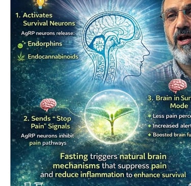 🌱🔬 Natural Painkillers Activated by Fasting 🧠⚡ Hunger and Pain Relief Explained 