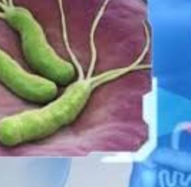💩🧬 عملية زرع البراز (FMT) والصيام الطوعي ♻️ 🌙