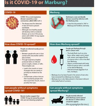 fasting therapy, triple therapy, honey medicine, bee therapy, apitherapy, metabolic healing, immunit