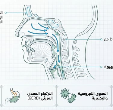 🍯Post-Nasal Drip:Soothe the Throat,Calm the Cough,Breathe Better