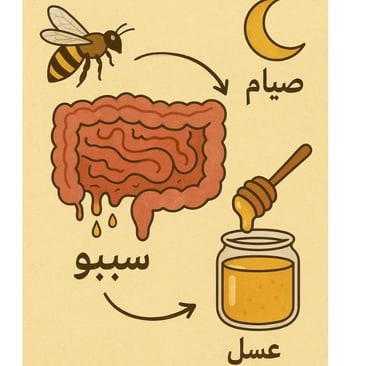 🐝🌙🍯متلازمة الأمعاء المتسربة SEBO صيام وعسل (1)