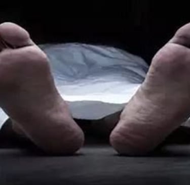 reality Death is certain how to die is your choice