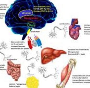 🕊️ Acute And Chronic Pain Management : Fasting & Honey