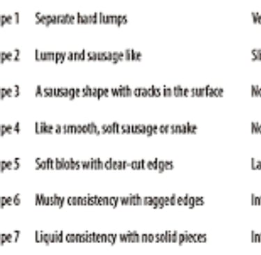Diarrhea different types