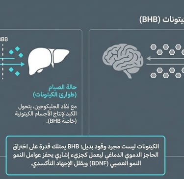🌙الآثار الواقية للصيام على الأمراض التنكسية العصبية🧠