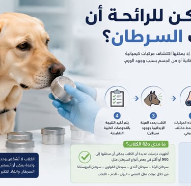 🐶الكلاب:هل يمكن للرائحة أن تكشف السرطان؟🤖