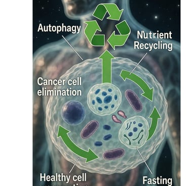 🧬 Autophagy & Fasting: Cancer-Fighting Potential  