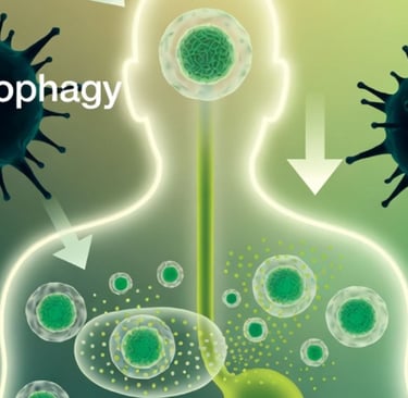 autophage and fasting