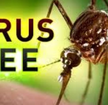 Eastern Equine Encephalitis (EEE)