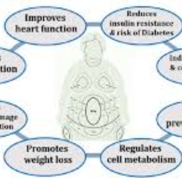 fasting effrct