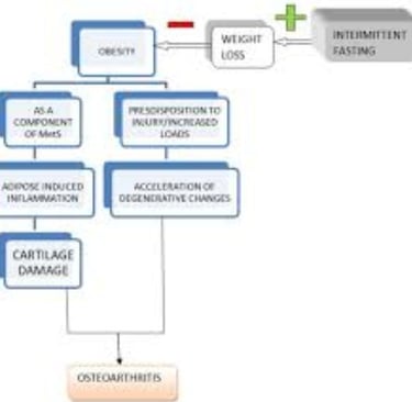 oxitavie stress