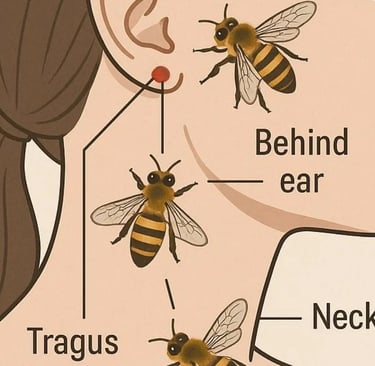 Fasting + Honey + Apitherapy = Natural Defense Against Bone Infections photo