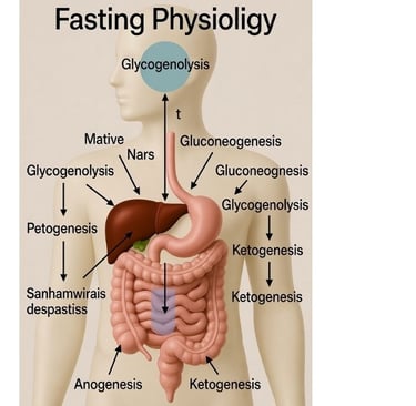 🌙✨ When hunger becomes healing — discover how fasting transforms metabolism, awakens cellular intel