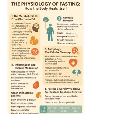 🌙✨ When hunger becomes healing — discover how fasting transforms metabolism, awakens cellular intel