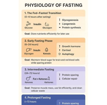 🌙✨ When hunger becomes healing — discover how fasting transforms metabolism, awakens cellular intel