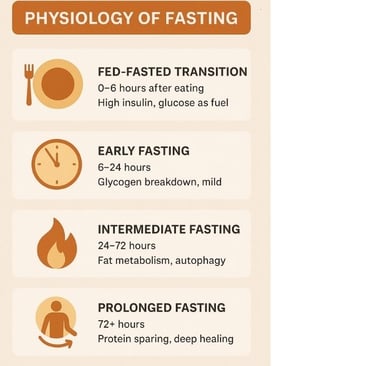 🌙✨ When hunger becomes healing — discover how fasting transforms metabolism, awakens cellular intel
