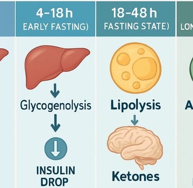 🌙✨ When hunger becomes healing — discover how fasting transforms metabolism, awakens cellular intel