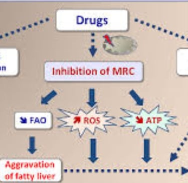 fatty liver disease hepatotoxic medicat