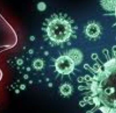fever causes symptoms