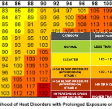 importance of heart indix