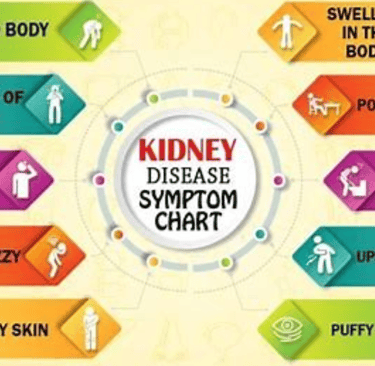 symptoms of kidny disease