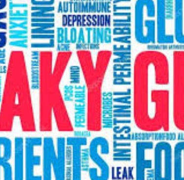 Leaky Gut Syndrome life style modification
