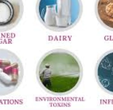 Leaky Gut Syndrome main causes
