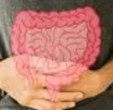 Leaky Gut Syndrome New View to Symptoms, Diagnosis & Treatments