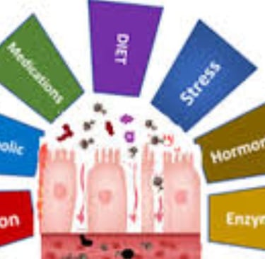Leaky Gut Syndrome root causes and risk factors