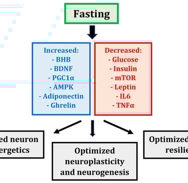 fasting therapy, triple therapy, honey medicine, bee therapy, apitherapy, metabolic healing, immunit