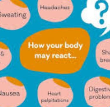 body react