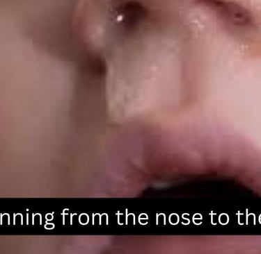 Mucus running from the nose to the throat 